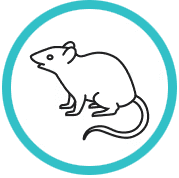 Green and white icon for Rodent Control